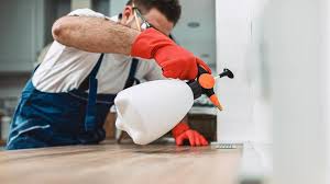 Best Residential Pest Control  in Shreve, OH